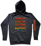 Black Born In Live In Reppin' Illinois hoodie